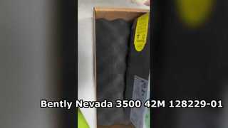 128229-01 بنتلي نيفادا 3500 42M رصد الزلازل