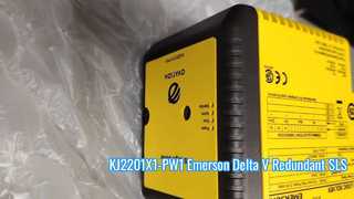 KJ2201X1-PW1 إمرسون دلتا V بلاك محطة SLS الزائدة